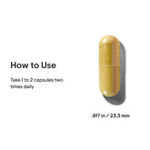 THORNE Berberine supplement beige capsule with how to use dosing instructions and capsule size